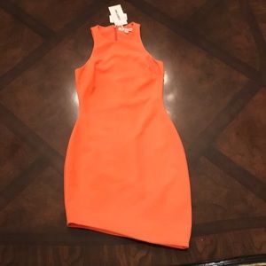 Elizabeth and James cocktail dress